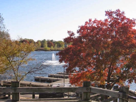O J Watson Park