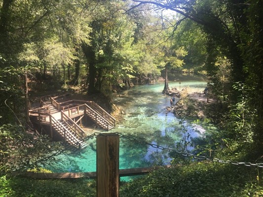 Madison Blue Spring