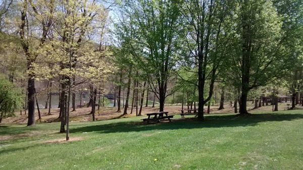 Laurel Hill State Park