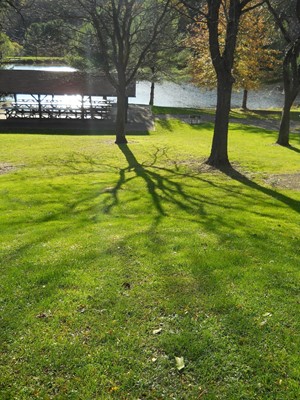 Northmoreland Park