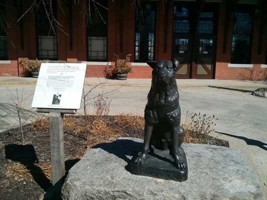 National Park Ranger