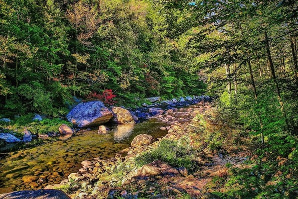 Jamaica State Park