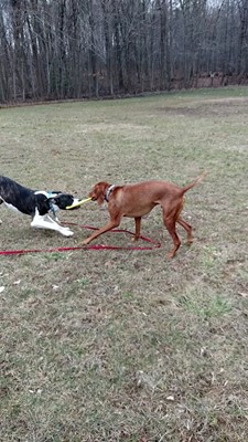 Jessup-Dorsey Park