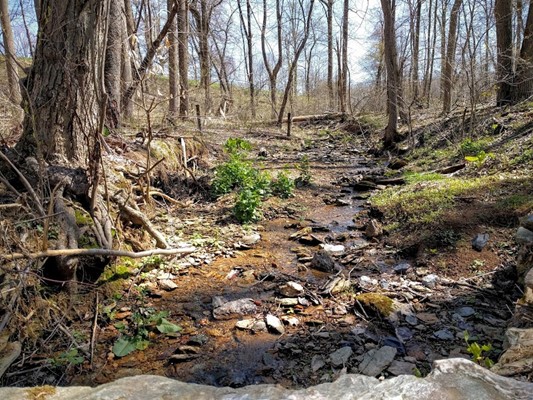 Wolf's Hollow County Park