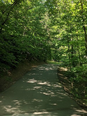 Little Creek Park Office Info