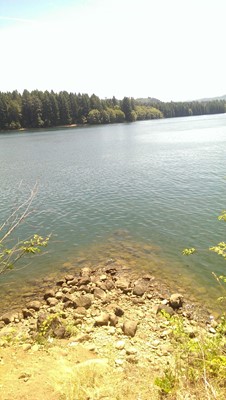 Ike Kinswa State Park