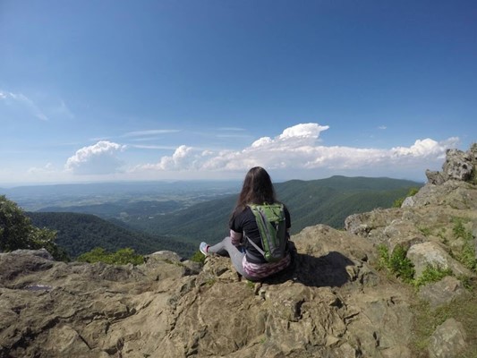 Byrd's Nest Shelter #3