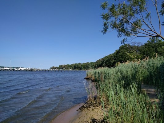 Spriggs Farm Park on the Magothy