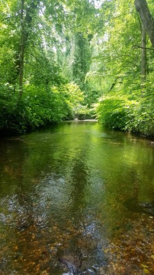 Ceres Park