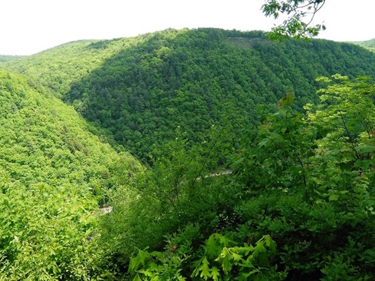 Colton Point State Park