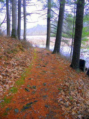 Chenango Valley State Park
