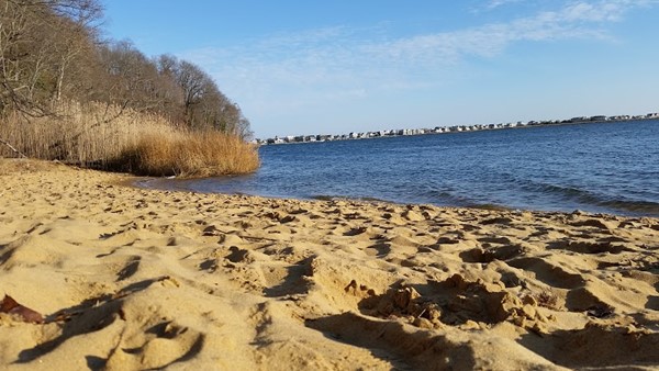 Hartshorne Woods Park