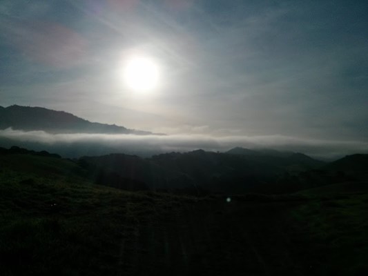 Diablo Foothills Regional Park