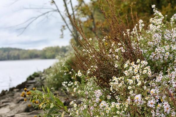 Hudson River Islands