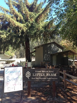 Tilden Nature Area