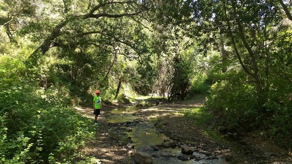 Castle Rock Regional Recreation Area