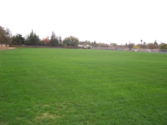 Phoenix Park