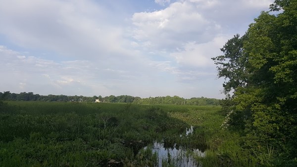 Pennington Park