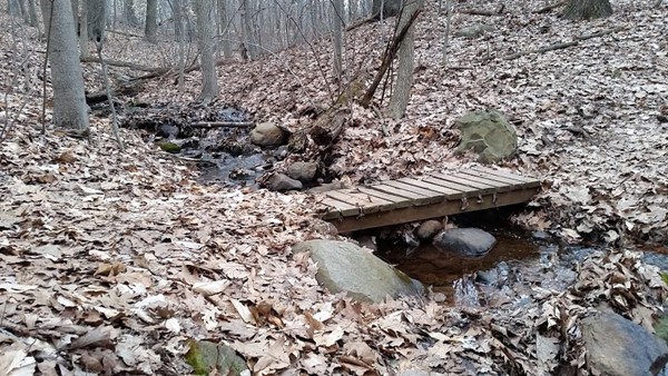High Rock Park
