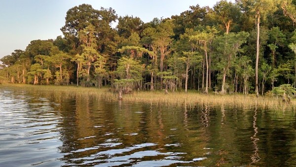 Lake Waccamaw State Park