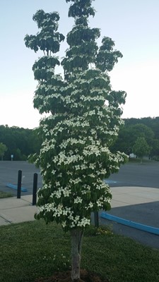 Jim Dietrich Park
