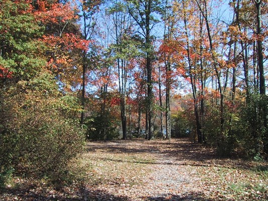 French Creek State Park