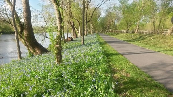 Eastham Park