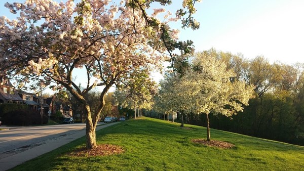 Frick Park