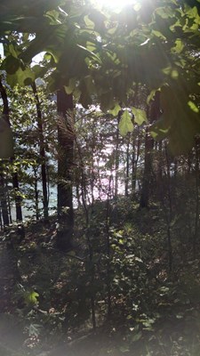 Red Top Mountain State Park