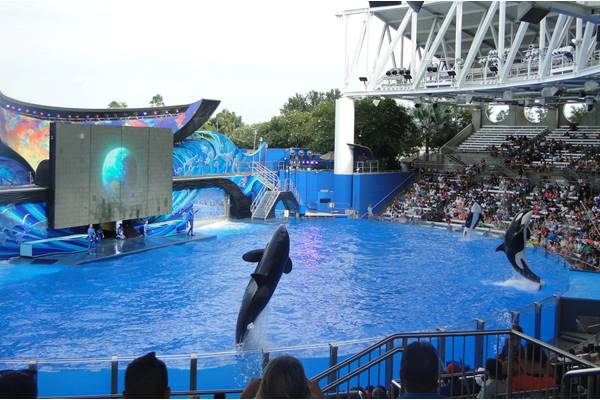 SeaWorld Orlando