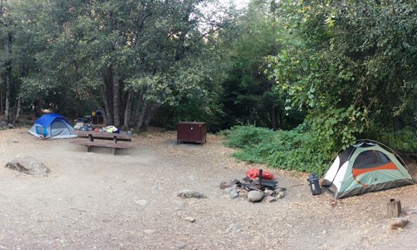 Brett Norman Brett Norman