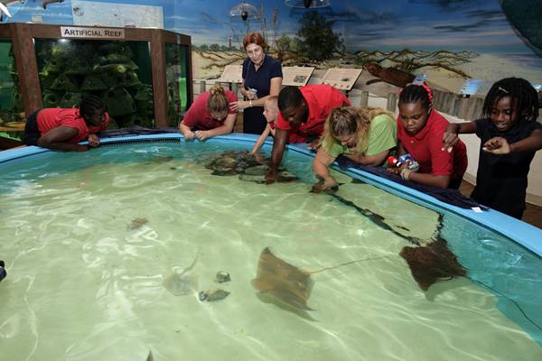 Marine Science Center