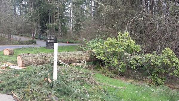 Seaquest State Park