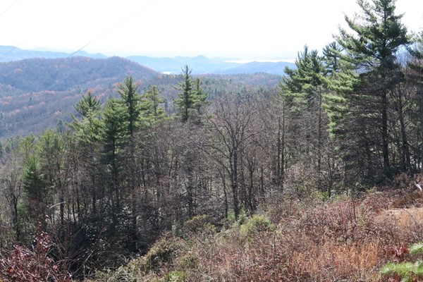 Gorges State Park