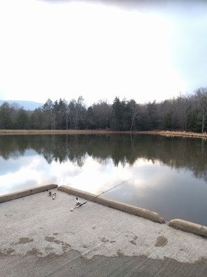 Handley Wildlife Management Area