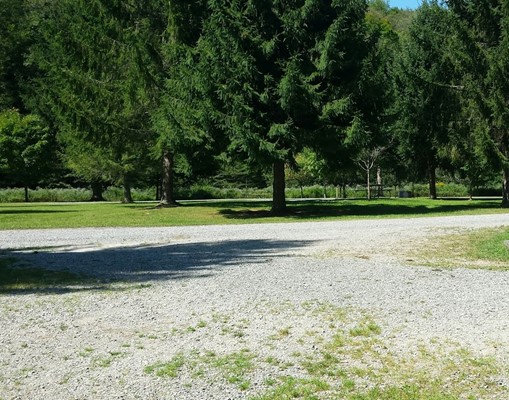 Laurel Fork Campground
