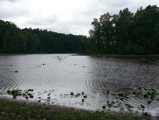 Powhatan Wildlife Management Area