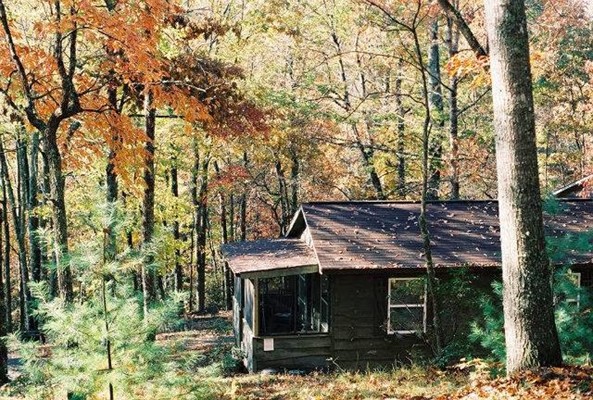 Ash Grove Mountain Cabins & Camping