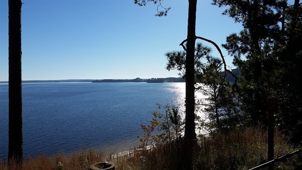 Ebenezer Park