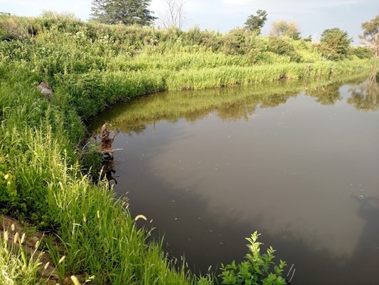 Emiquon National Wildlife Refuge