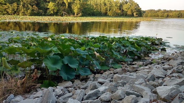 Crab Orchard National Wildlife Refuge