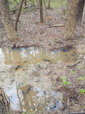 Eagle Creek / Hitching Post Trailhead