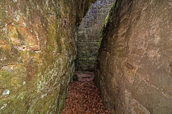 Panther Den Wilderness