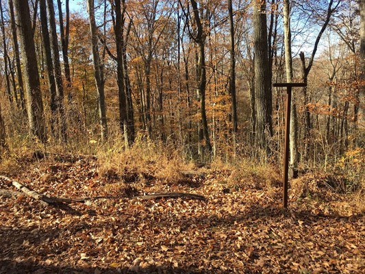 Sal Hollow Campground