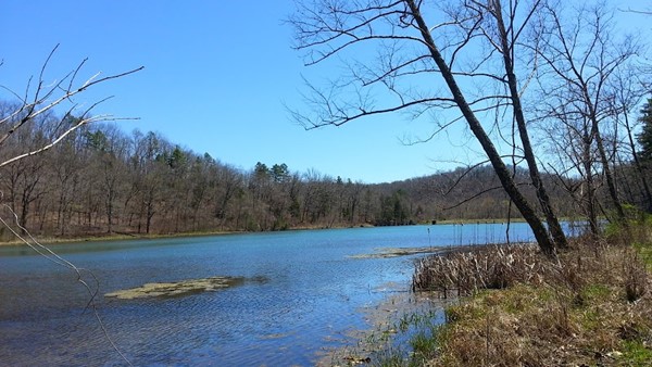 McCormack Lake Campground