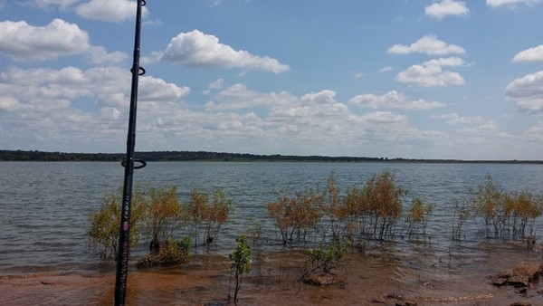 Lake McMurtry West Side Recreation Area