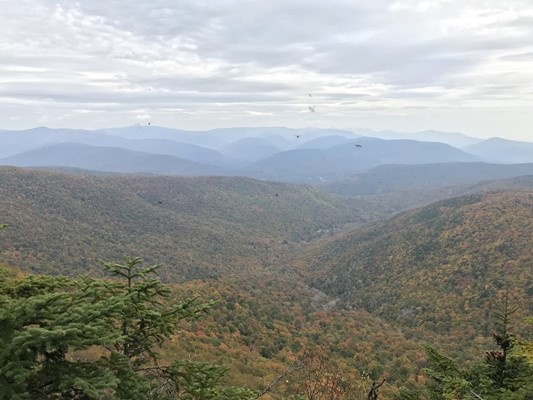 Panther Mt. Trail