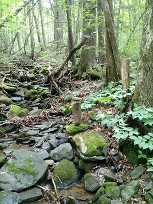 Tremper Mountain Trail