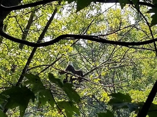 Lackawanna River Heritage Trail