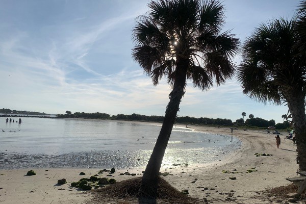 Sebastian Inlet Swimming Cove